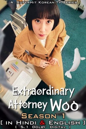 EXTRAORDINARY ATTORNEY WOO 2022 Hindi Dubbed K Drama Netflix