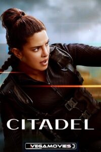 Citadel 2023 poster Vega S01 Pi